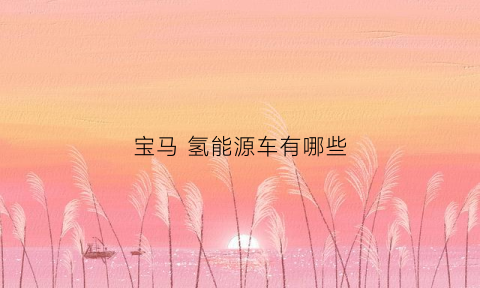 宝马 氢能源车有哪些